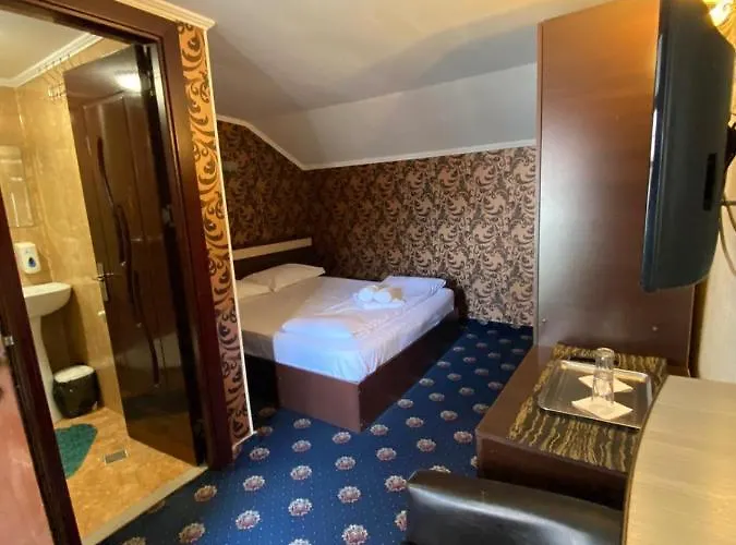 Hanu Satului Pensjonat