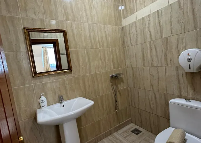 Pensjonat Hanu Satului 3*