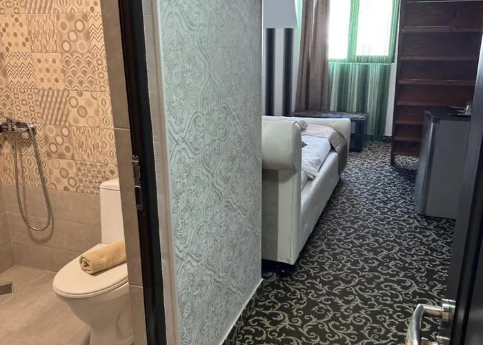 Pensjonat Hanu Satului