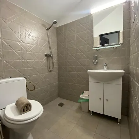 Casa de hóspedes Hanu Satului 3*