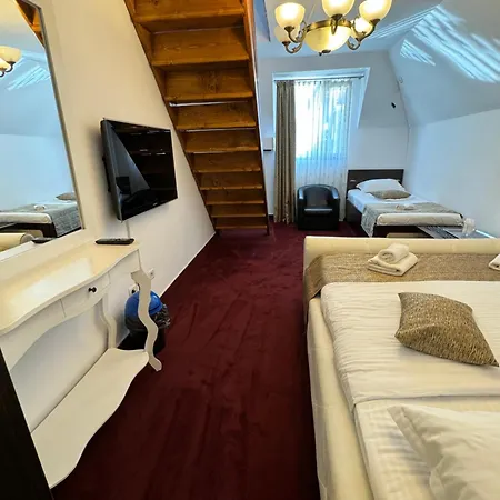 Hanu Satului Pensiune