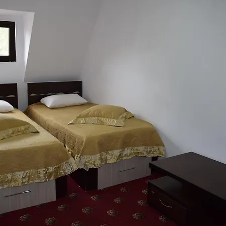 Casa de hóspedes Hanu Satului