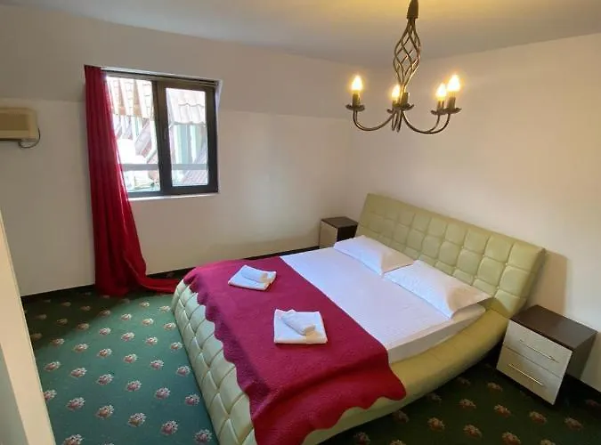 Hanu Satului 게스트하우스 3*