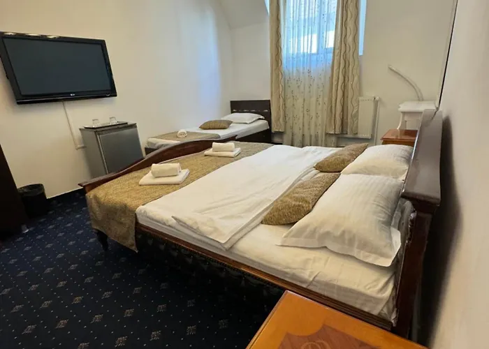 게스트하우스 Hanu Satului 콘스탄차