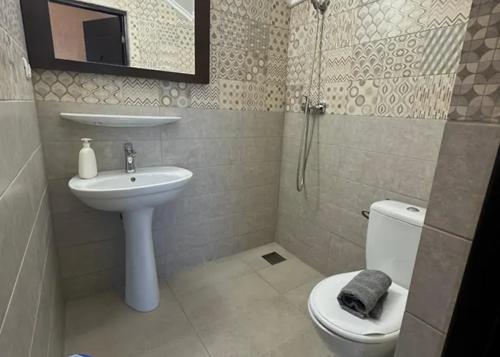 Hanu Satului Pensiune