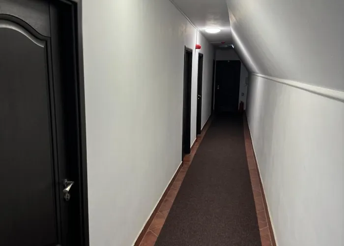 게스트하우스 Hanu Satului 3*