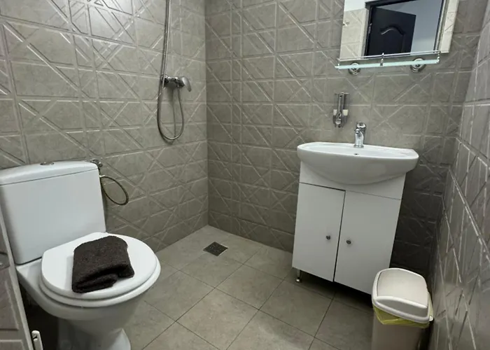 Hanu Satului 게스트하우스