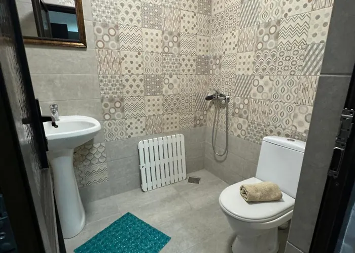 Hanu Satului 게스트하우스 3*