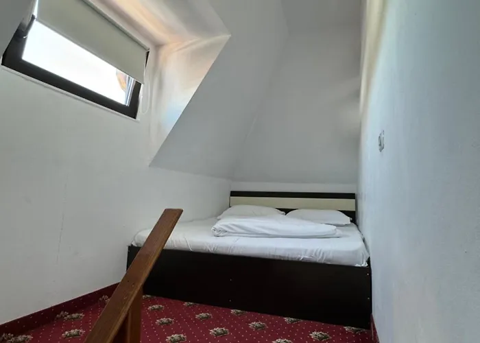 게스트하우스 Hanu Satului 콘스탄차