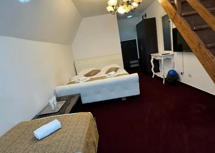 Hanu Satului Pensjonat Konstanca