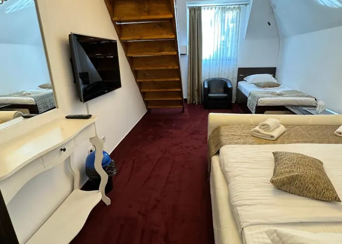 Hanu Satului 게스트하우스