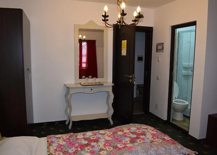 Hanu Satului 게스트하우스 3*