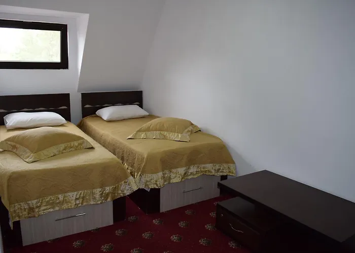 게스트하우스 Hanu Satului