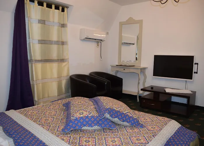 Hanu Satului 게스트하우스