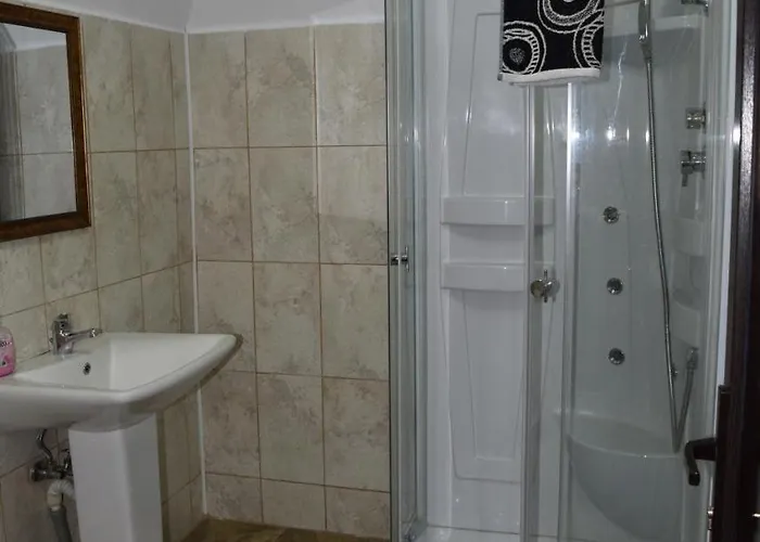 게스트하우스 Hanu Satului